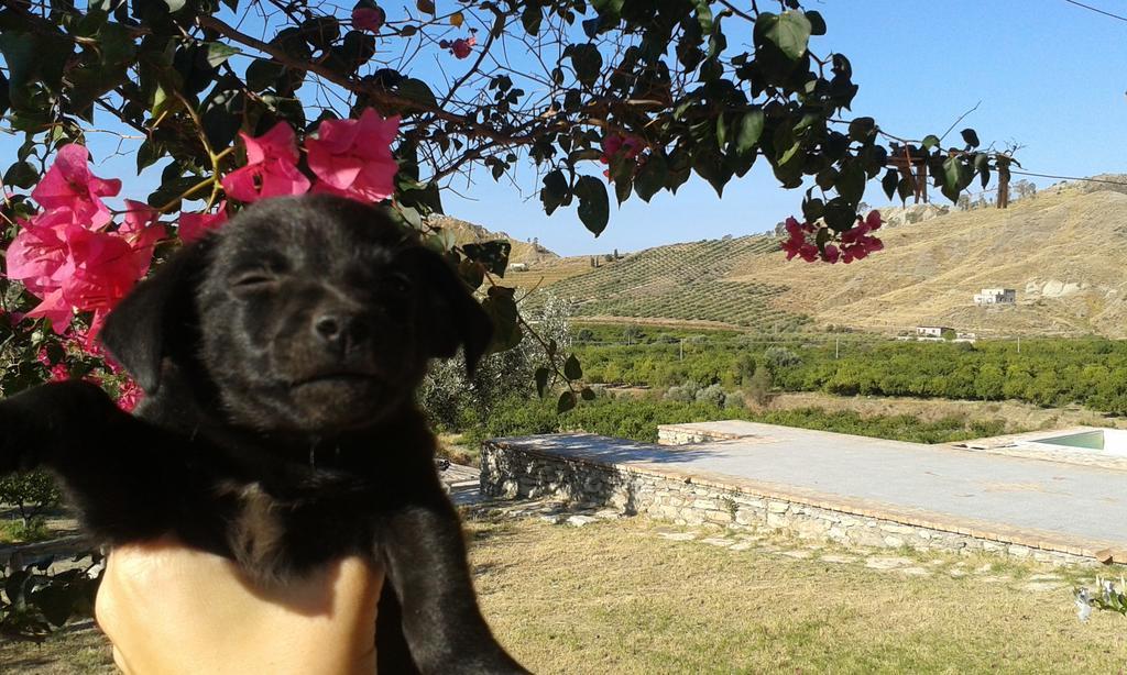 فيلا Rio Rosa بوفا مارينا المظهر الخارجي الصورة